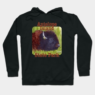 Antelope Island State Park, Utah Hoodie